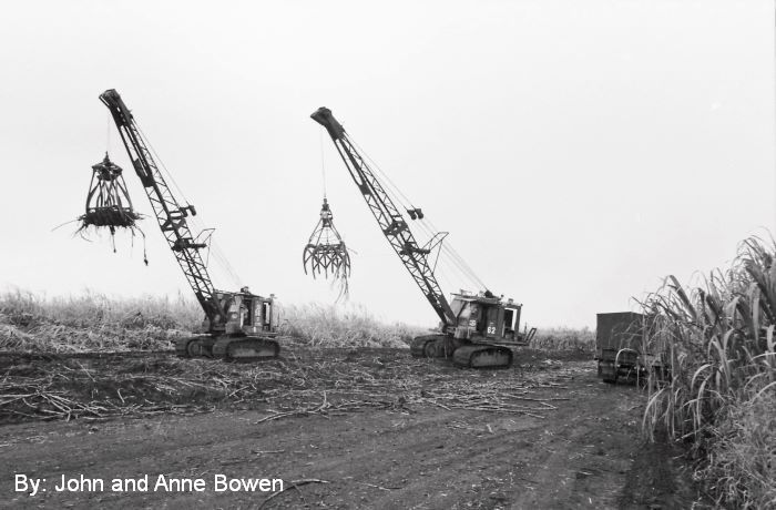 At the peak of Hawaiʻi sugar production in the early 1980s, Hāmākua Sugar Company was the second largest plantation in the state. (Photo: John and Anne Bowen/Honokaʻa Heritage Center)